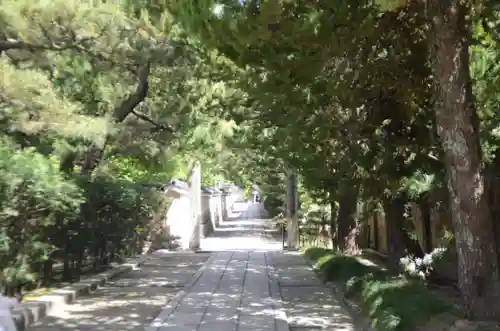 建仁寺（建仁禅寺）(京都府)