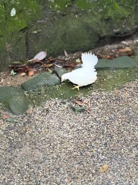 石上神宮(奈良県)