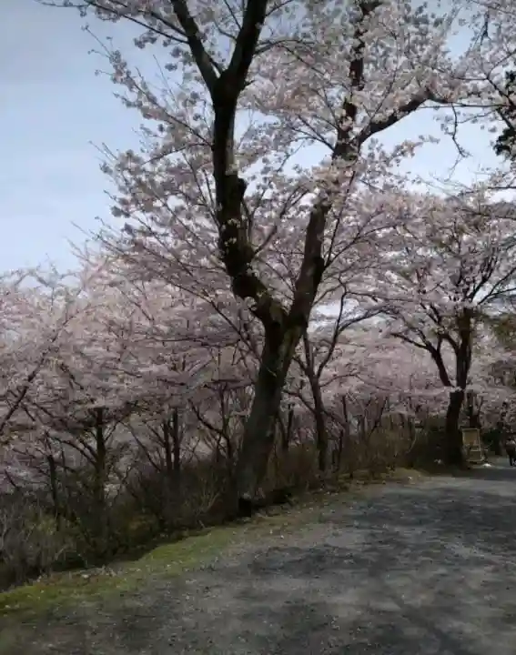 園城寺(三井寺)(滋賀県)