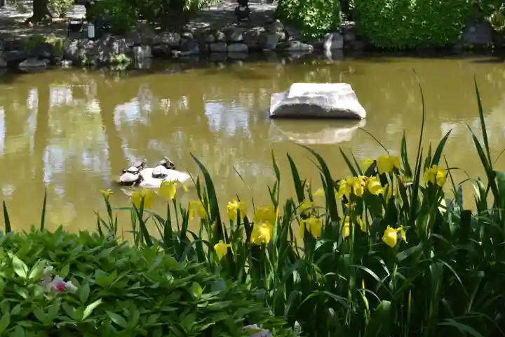 東寺(教王護国寺)の自然