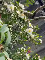 即宗院(京都府)