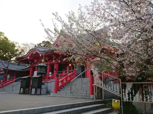 甚目寺の本殿・本堂
