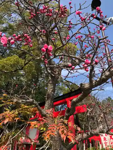 成海神社の自然
