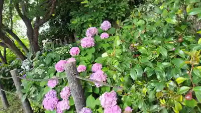 六孫王神社(京都府)
