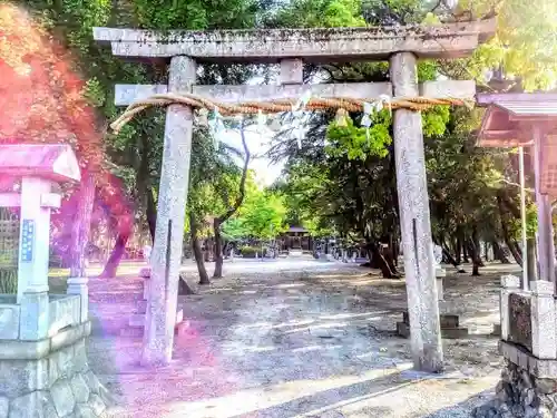 熱田神社（養父熱田神社）の鳥居