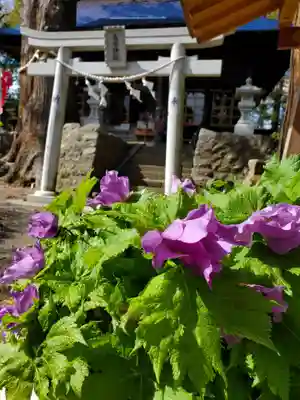 高司神社〜むすびの神の鎮まる社〜(福島県)