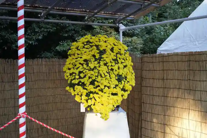 明治神宮(東京都)