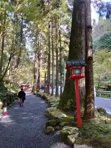 貴船神社(京都府)