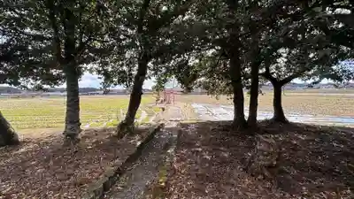大歳神社(兵庫県)