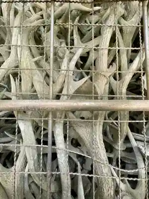 志賀海神社(福岡県)