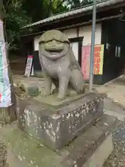 小幡八幡宮の狛犬