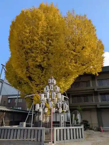 櫛田神社の自然