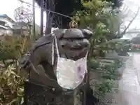 菊田神社の狛犬