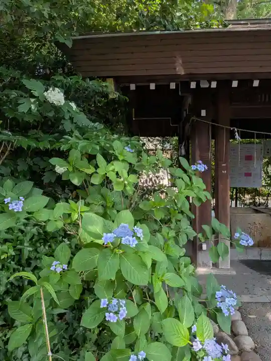 阿佐ヶ谷神明宮(東京都)