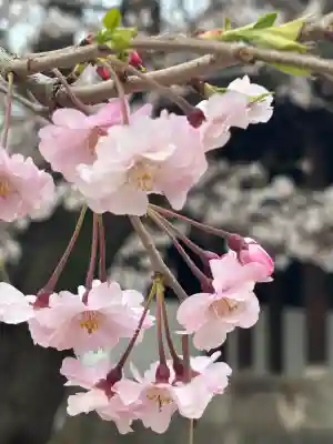 増上寺の{uncategorized: "未分類", other: "その他", undefined: "問題あり", building: "その他建物", grave: "お墓", sacred_gate: "鳥居", guardian: "狛犬", statue: "像", buddha: "仏像", history: "歴史", nature: "自然", garden: "庭園", animal: "動物", pagoda: "塔", temizu: "手水舎", mountain_gate: "山門・神門", sanctuary: "本殿・本堂", subordinate: "末社・摂社", art: "芸術", scenery: "景色", jizo: "地蔵", ema: "絵馬", goshuin: "御朱印", omikuji: "おみくじ", items: "授与品その他", amulet: "お守り", goshuincho: "御朱印帳", eats: "食事", festival: "お祭り", votive_dance: "神楽", shichigosan: "七五三参", wedding: "結婚式", experience: "体験その他", initially: "初詣", around: "周辺", anti_infection: "感染症対策"}