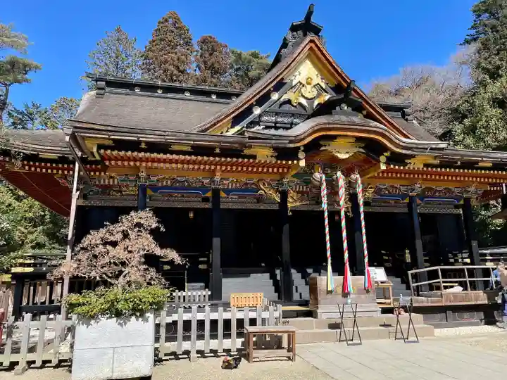 大崎八幡宮(宮城県)