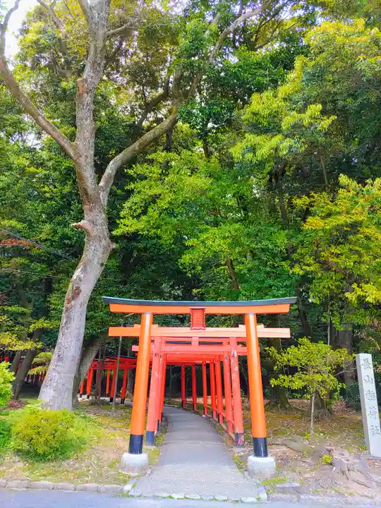 橿原神宮(奈良県)