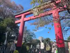 亀戸天神社の鳥居