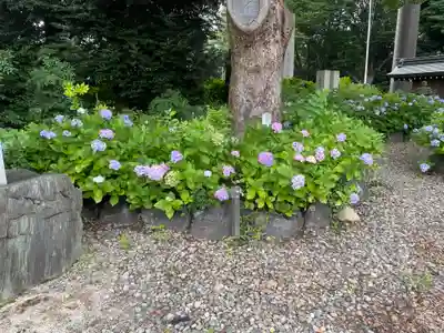 愛知縣護國神社(愛知県)