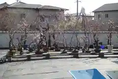 菅原天満宮（菅原神社）(奈良県)