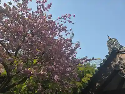 元本坊 本願院（開山坊）(奈良県)