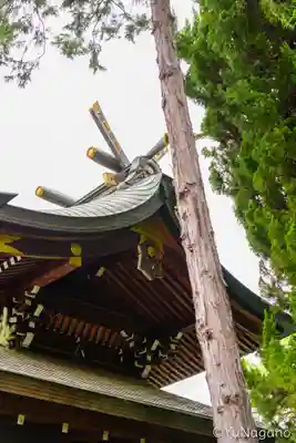 磯良神社（疣水神社）(大阪府)