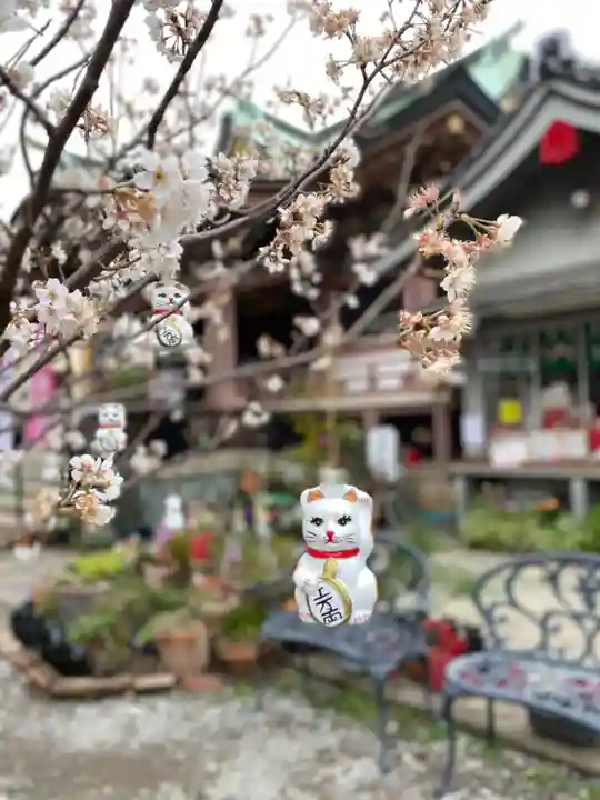 今戸神社の自然