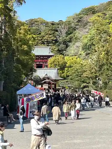 鶴岡八幡宮(神奈川県)