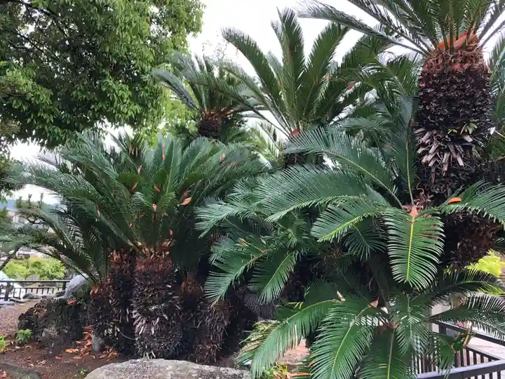 龍田神社の自然