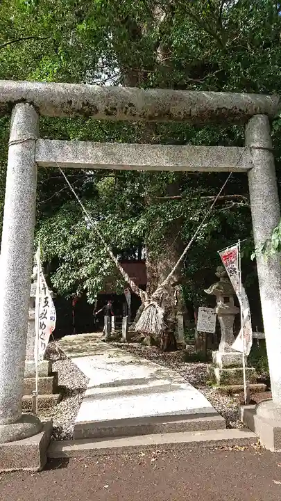 向田神社の鳥居