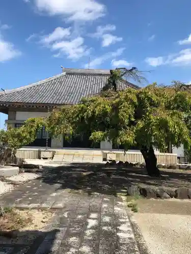 龍興寺(愛知県)