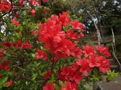 三渓園天満宮(神奈川県)