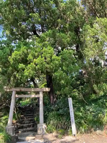 森戸大明神（森戸神社）の鳥居