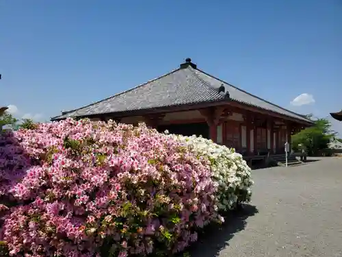 浄土寺のその他建物