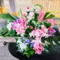 彌彦神社 (伊夜日子神社)の手水舎