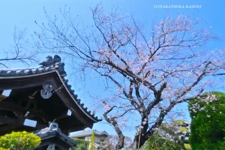 瑞雲寺(神奈川県)