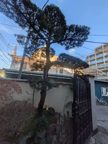 真昌寺(東京都)