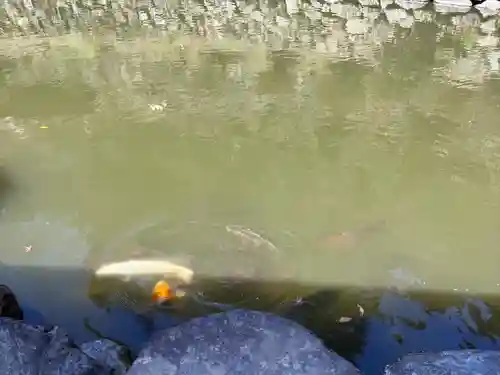 妙義神社(群馬県)