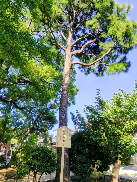 川崎大師(平間寺)(神奈川県)