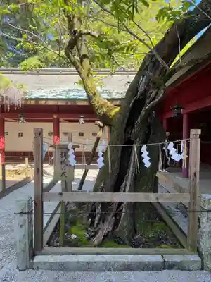 笠間稲荷神社(茨城県)