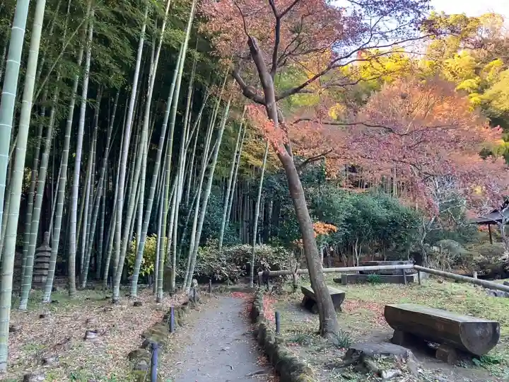 英勝寺(神奈川県)