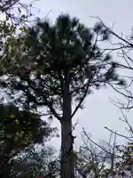 顕常寺(大阪府)