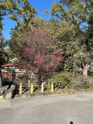 住吉大社(大阪府)