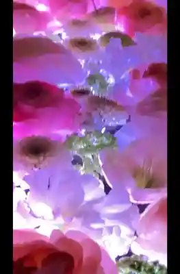 行田八幡神社の{uncategorized: "未分類", other: "その他", undefined: "問題あり", building: "その他建物", grave: "お墓", sacred_gate: "鳥居", guardian: "狛犬", statue: "像", buddha: "仏像", history: "歴史", nature: "自然", garden: "庭園", animal: "動物", pagoda: "塔", temizu: "手水舎", mountain_gate: "山門・神門", sanctuary: "本殿・本堂", subordinate: "末社・摂社", art: "芸術", scenery: "景色", jizo: "地蔵", ema: "絵馬", goshuin: "御朱印", omikuji: "おみくじ", items: "授与品その他", amulet: "お守り", goshuincho: "御朱印帳", eats: "食事", festival: "お祭り", votive_dance: "神楽", shichigosan: "七五三参", wedding: "結婚式", experience: "体験その他", initially: "初詣", around: "周辺", anti_infection: "感染症対策"}