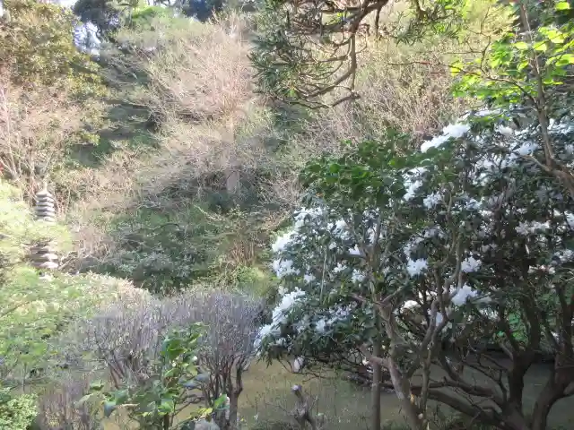 光則寺の庭園