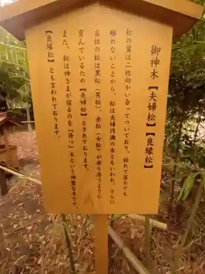 自由が丘熊野神社の歴史