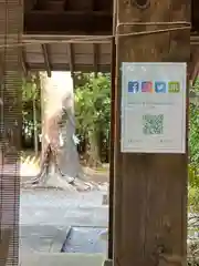 滑川神社 - 仕事と子どもの守り神の手水