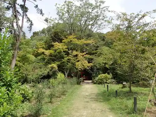 半木社（賀茂別雷神社末社）の景色