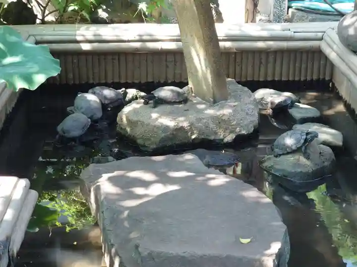 徳林寺(埼玉県)