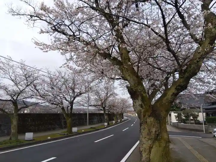 湊八幡神社(福井県)
